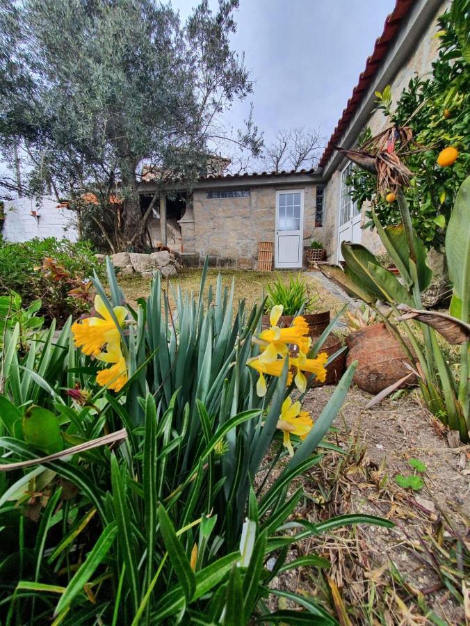 Casa Da Poca Villa Baiao Luaran gambar